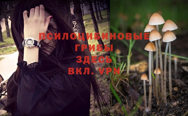 крисы Алексеевка
