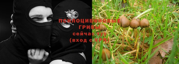 крисы Алексеевка