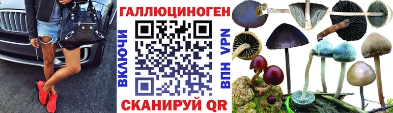 ссылка на мегу сайт Звенигово Псилоцибиновые грибы мицелий